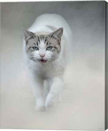 Framed Out Of The Mist Print