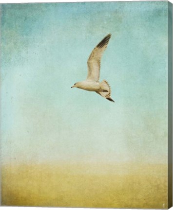 Framed Out To Sea Print