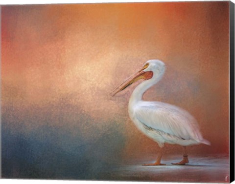 Framed Pelican Walk Print