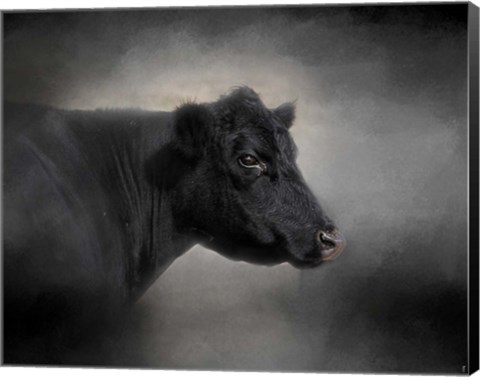 Framed Portrait Of The Black Angus Print