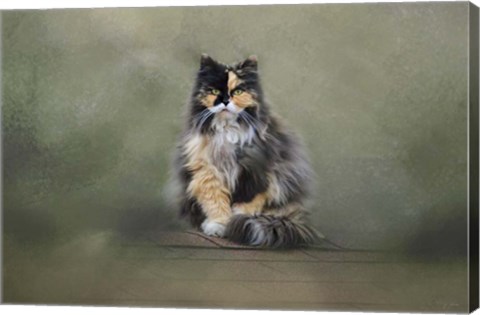 Framed Rooftop Roost Print