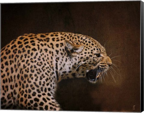 Framed Snarling Leopard Print