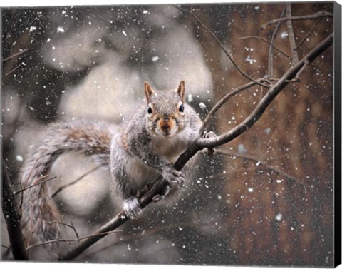 Framed Snow Day Squirrel Print