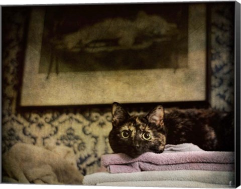 Framed Soft Place To Fall Print