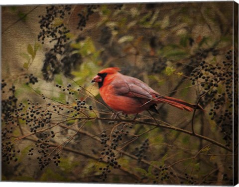 Framed Song Of The Red Bird 2 Print