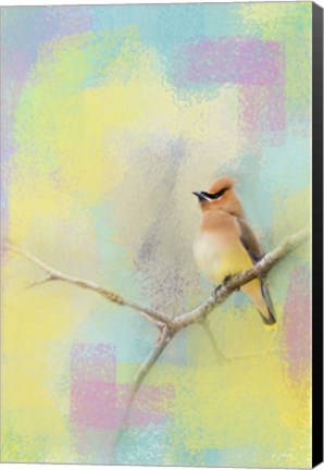 Framed Song Of The Waxwing Print
