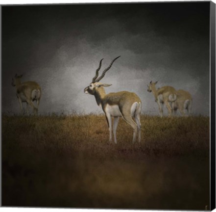 Framed Storm Spotters Print