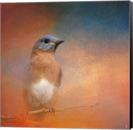 Framed Summer Day Bluebird Print