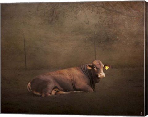 Framed Tag Number 1108 Print