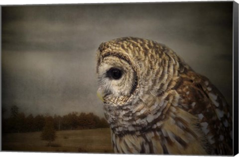 Framed Surveyor Print