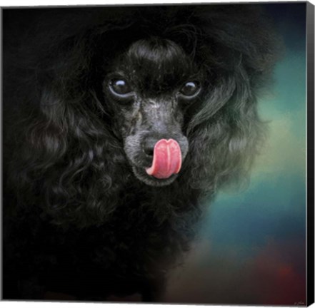 Framed Treat Snatcher Toy Black Poodle Print