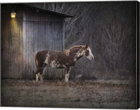 Framed Waiting For Winter Horse Print