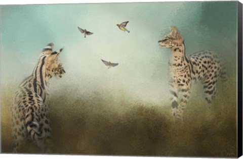 Framed Watching The Waxwings Print