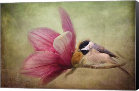 Framed Welcome Spring Print