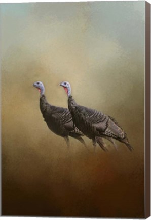 Framed Wild Turkey At Shiloh Print