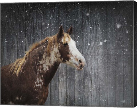 Framed Winters Arrival Horse Print