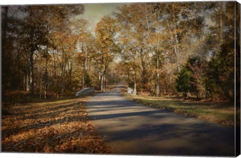 Framed Joyful Place Print