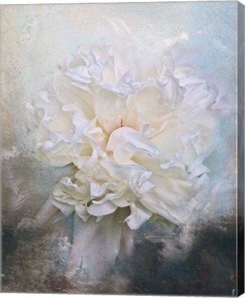 Framed Abstract Peony In Blue Print