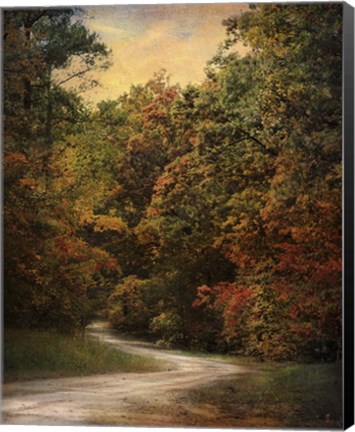 Framed Autumn Forest 1 Print