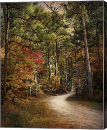 Framed Autumn Forest 2 Print
