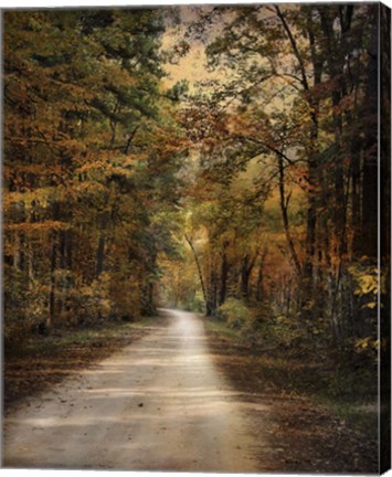 Framed Autumn Forest 3 Print