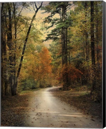 Framed Autumn Forest 4 Print