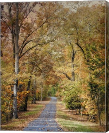 Framed Autumn Passage 2 Print