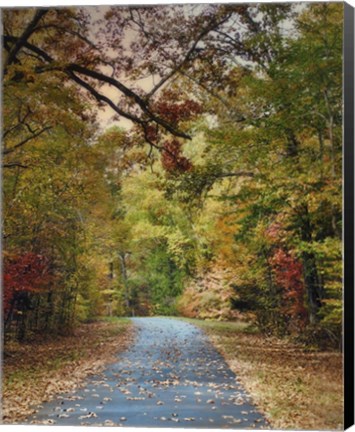 Framed Autumn Passage 3 Print