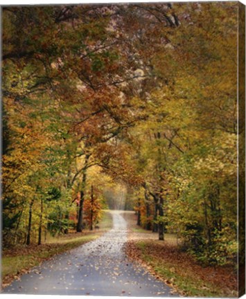 Framed Autumn Passage 4 Print