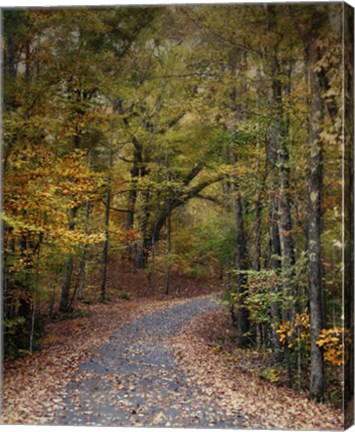 Framed Autumn Passage 5 Print