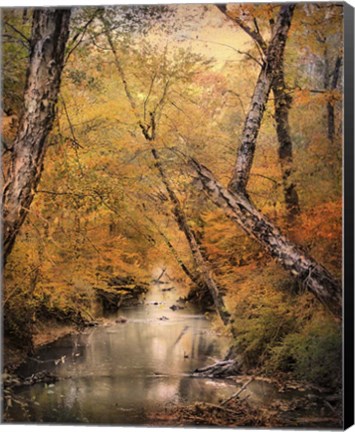 Framed Autumn Riches 1 Print