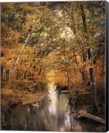 Framed Autumn Riches 2 Print