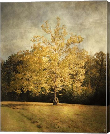 Framed Beginning Of Autumn Print