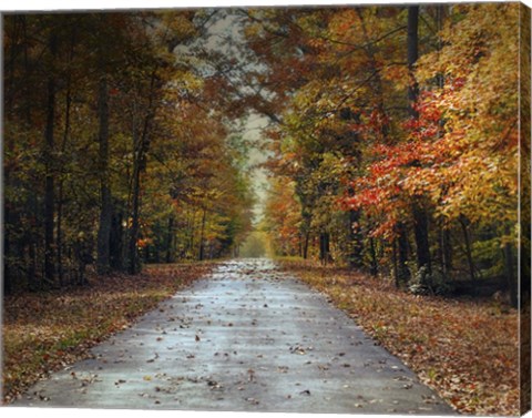 Framed Changing Season 2 Print