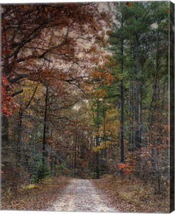 Framed Chickasaw Forest In Autumn 1 Print