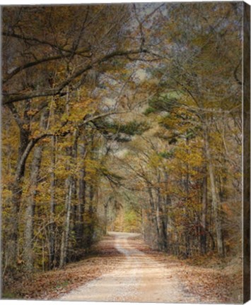 Framed Chickasaw Forest In Autumn 2 Print
