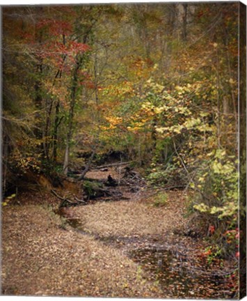 Framed Creek Bed In Autumn Print