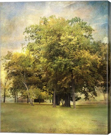 Framed Divinity Print