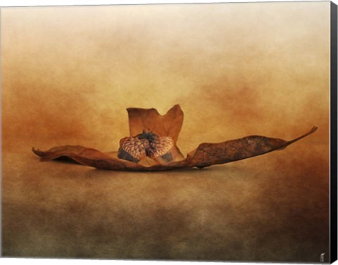 Framed Fallen Together Print