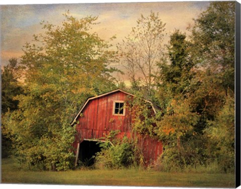 Framed Forgotten Treasure Print