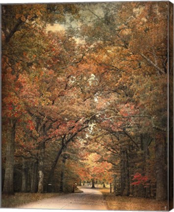 Framed Grove Of Memories Print