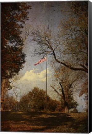 Framed I Pledge Allegiance Print