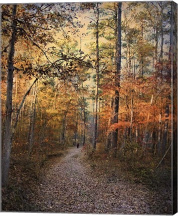 Framed Journey Within Print
