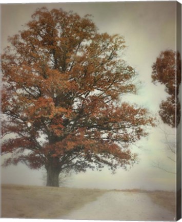 Framed Magnificence Print