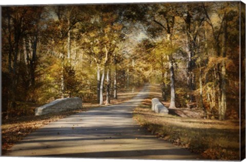 Framed Mingling With Beauty Print