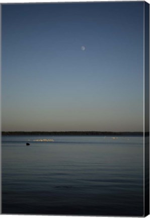Framed Moon Rising Over Reelfoot Lake Print
