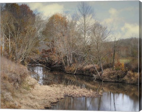 Framed Natures Glory Print