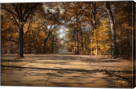 Framed Open For Beauty Print