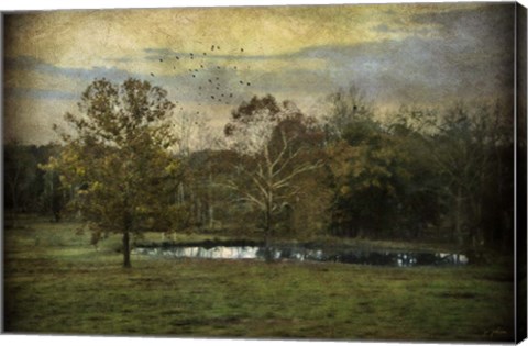 Framed Quiet At The Pond Print