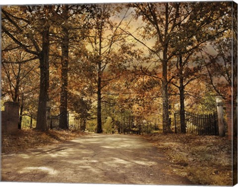 Framed Secluded Entrance Print